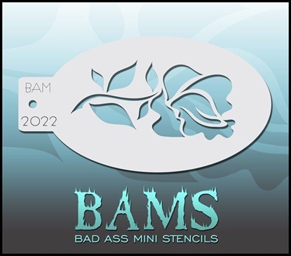 Imagens de Bam - 2022